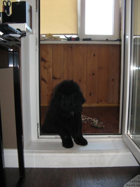 Фото: Ольга Кокнаева