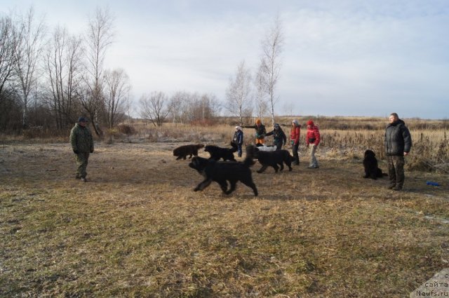 Фотография № 110843