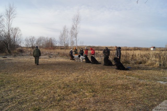 Фотография № 110847