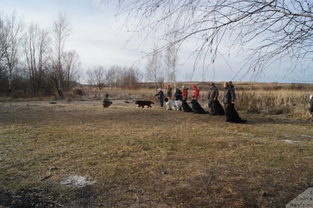 Фотография № 110848