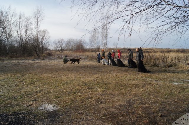 Фотография № 110849