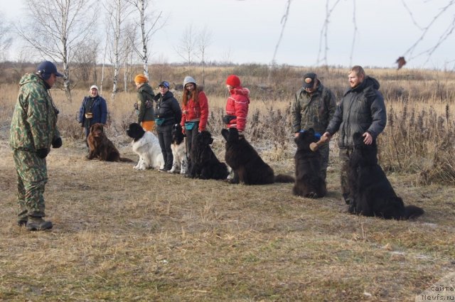 Фотография № 110862