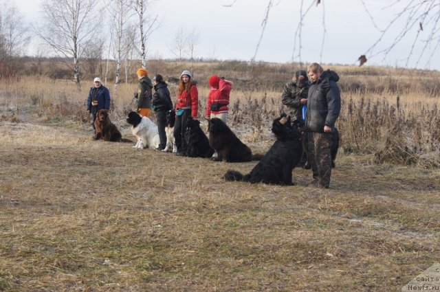 Фотография № 110865