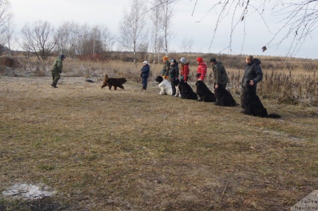 Фотография № 110867