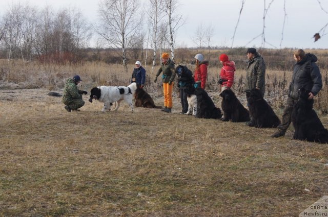 Фотография № 110868