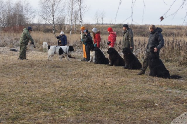 Фотография № 110869