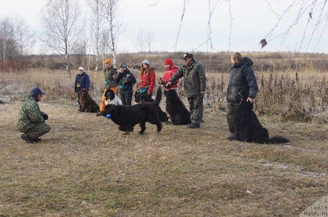 Фотография № 110876