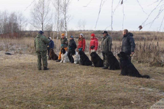 Фотография № 110880