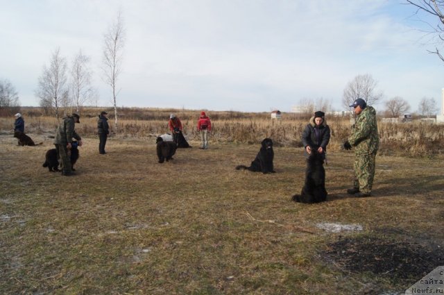 Фотография № 110884