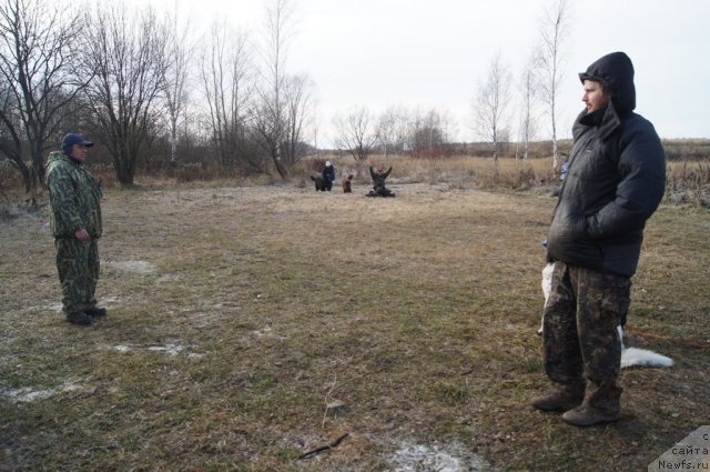 Фотография № 110888