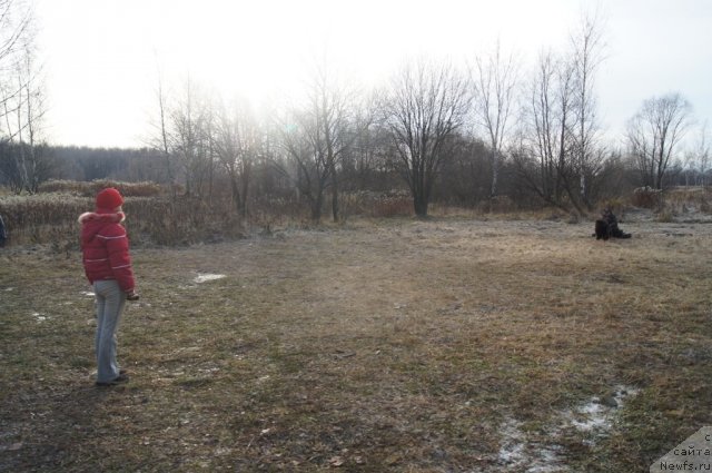 Фотография № 110893