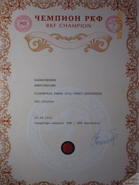 Фото: ньюфаундленд Плюшевая Панда Стиль-Санкт-Петербурга