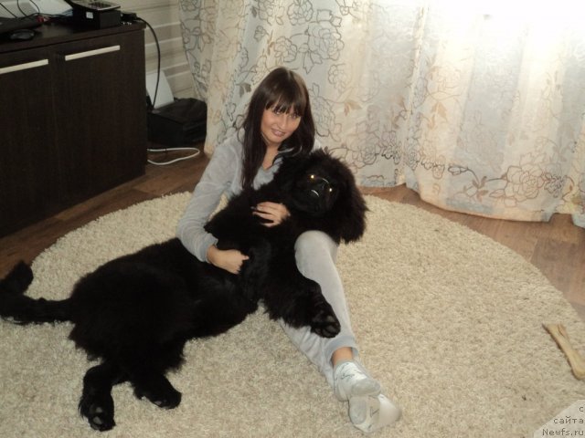 Фотография № 110941