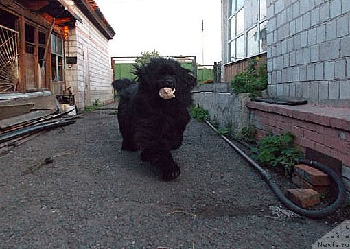 Фотография № 110943