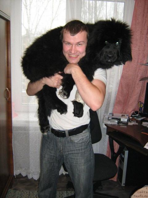 Фотография № 11103