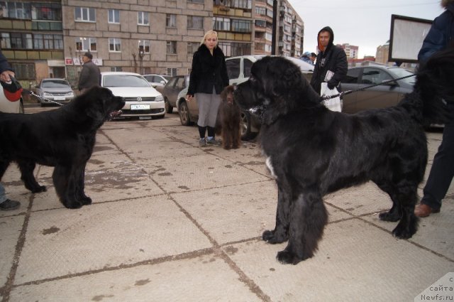 Фотография № 111035