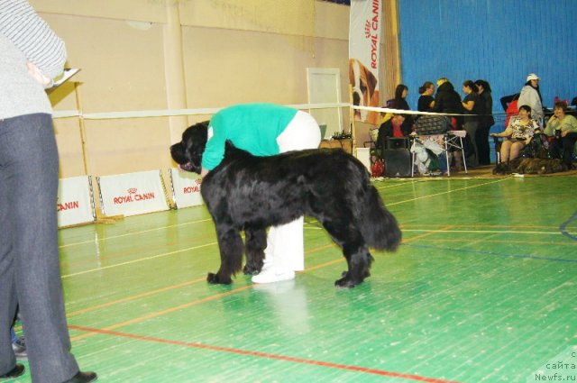 Фотография № 111041