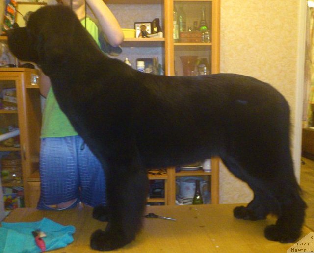 Фотография № 111067