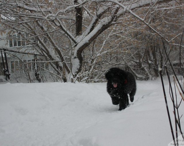 Фотография № 111082