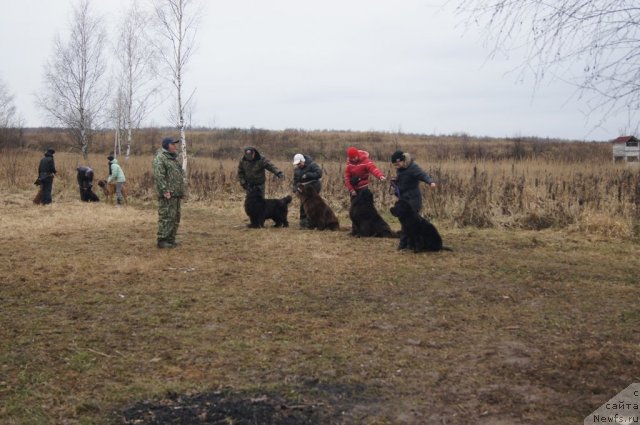 Фотография № 111116