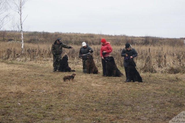 Фотография № 111120