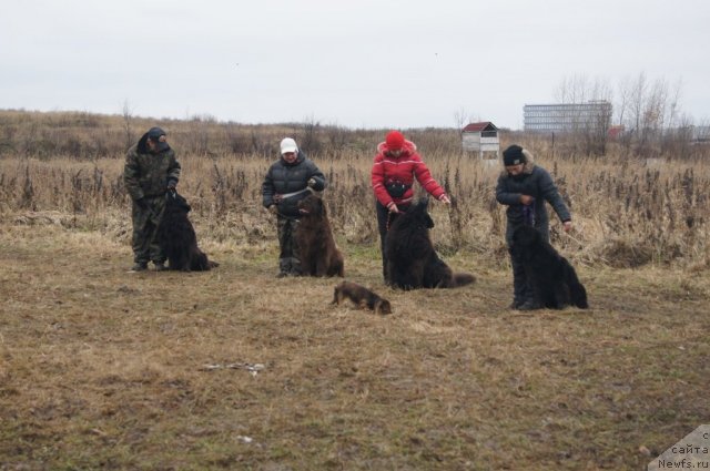 Фотография № 111121