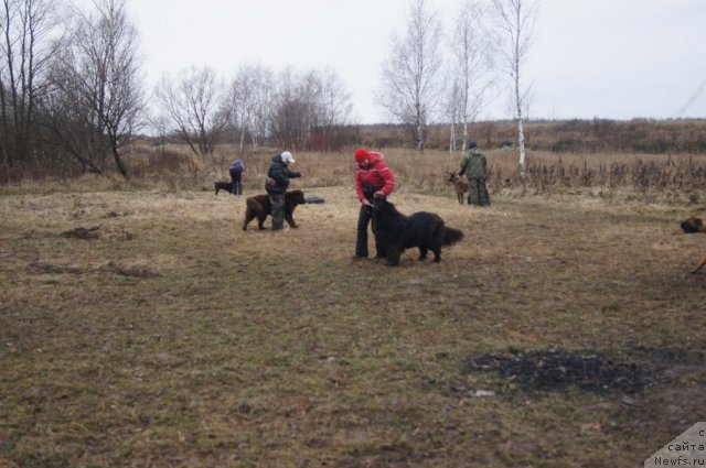 Фотография № 111125