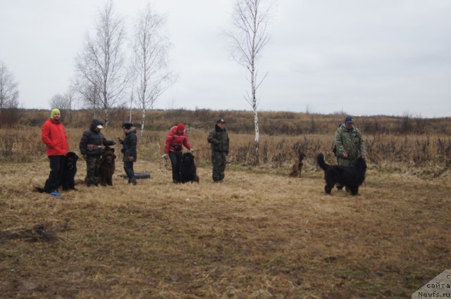 Фотография № 111135