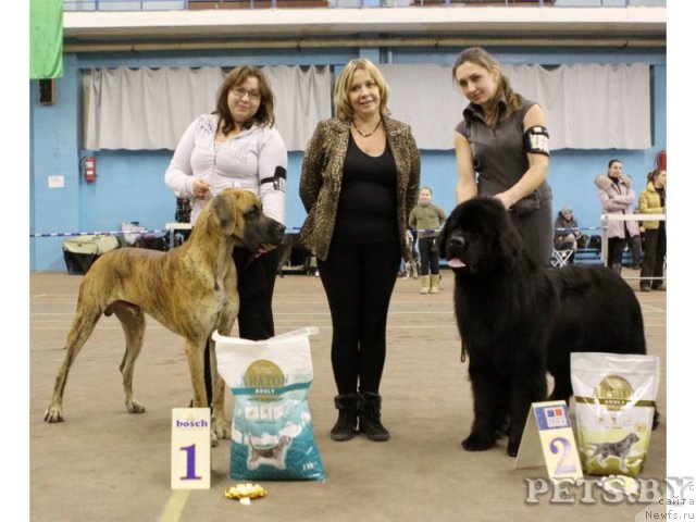 Фотография № 111149