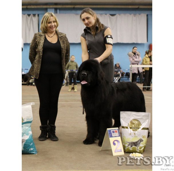 Фотография № 111150