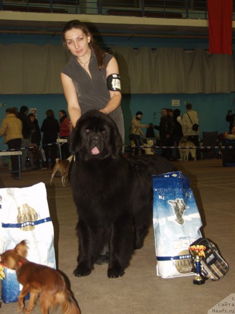 Фотография № 111153