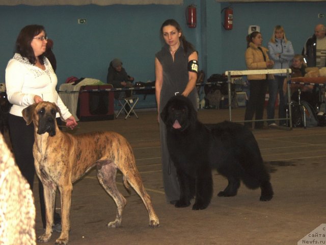 Фотография № 111154