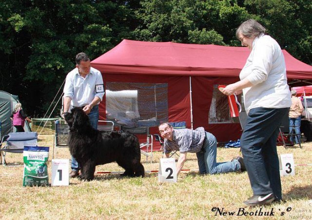 Фотография № 111165