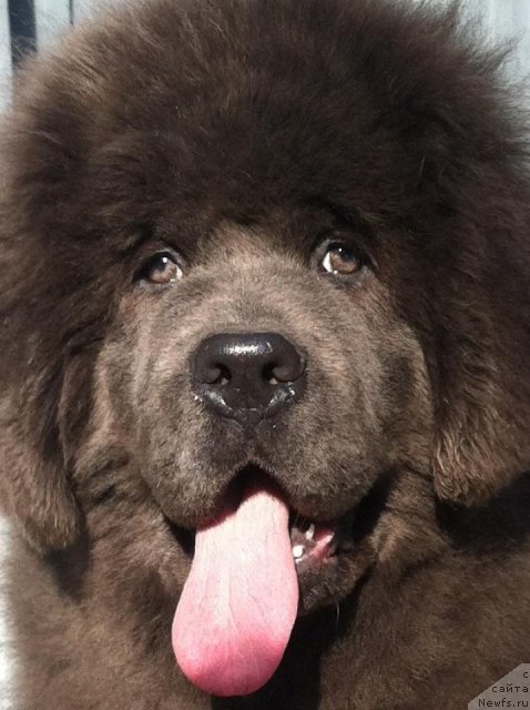 Фото: BarLe Farm's Quintessential