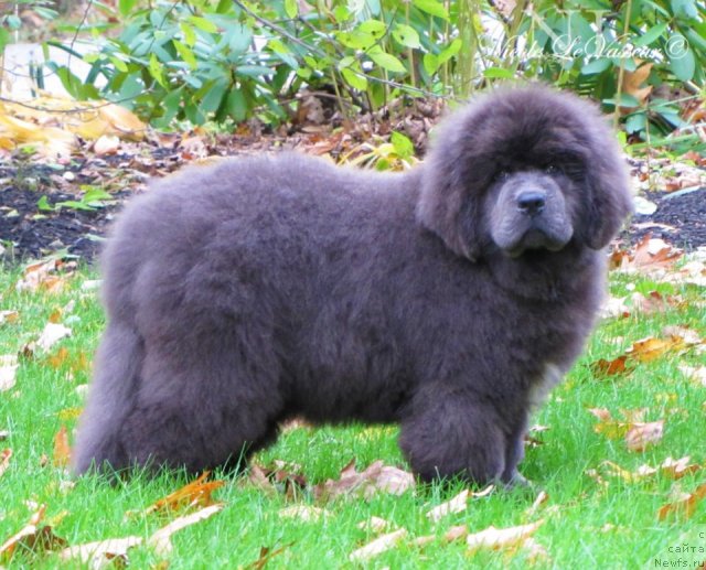 Фото: BarLe Farm's Quintessential