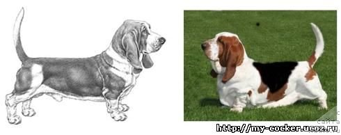 Фотография № 111172