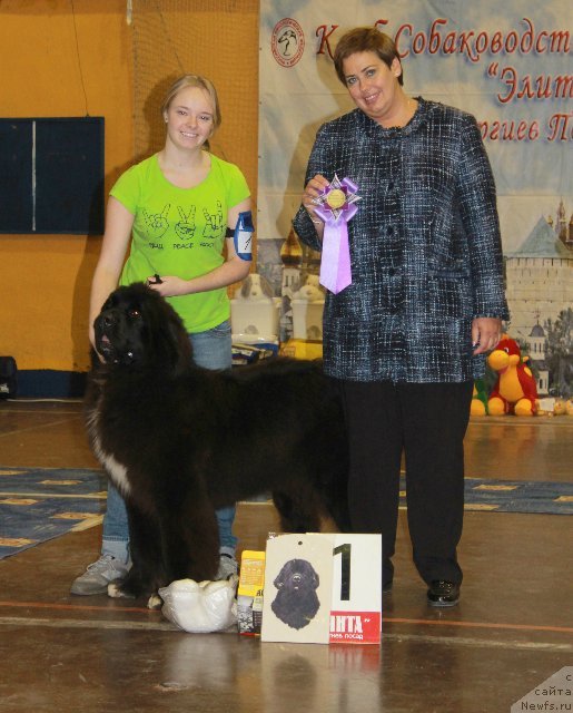 Фотография № 111180