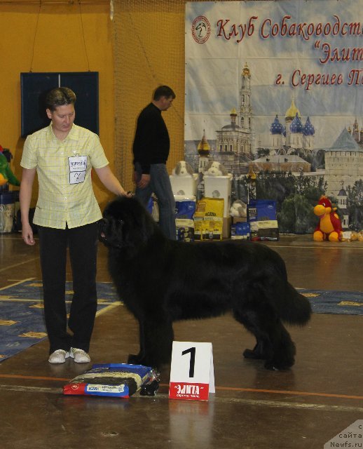 Фотография № 111186