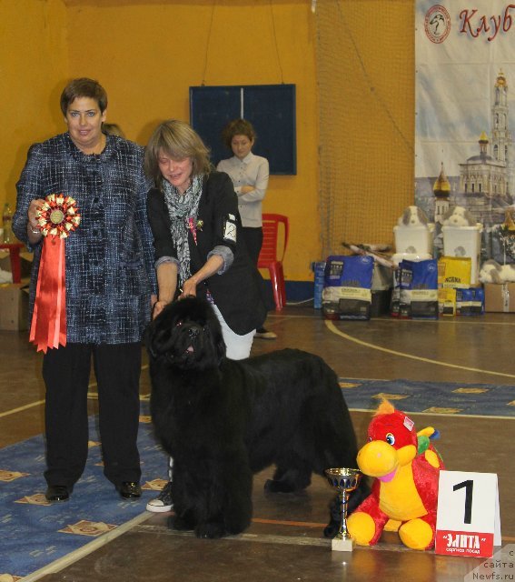 Фотография № 111187