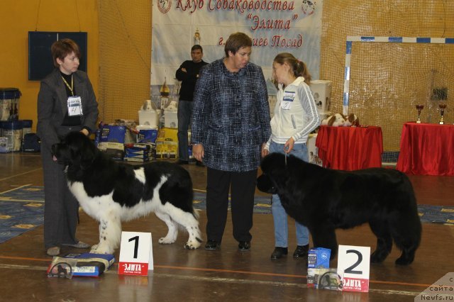 Фотография № 111190