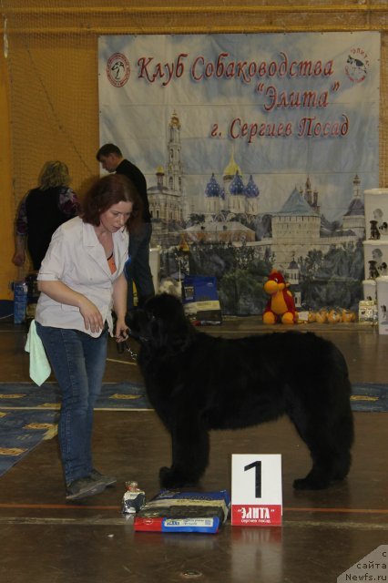 Фотография № 111191