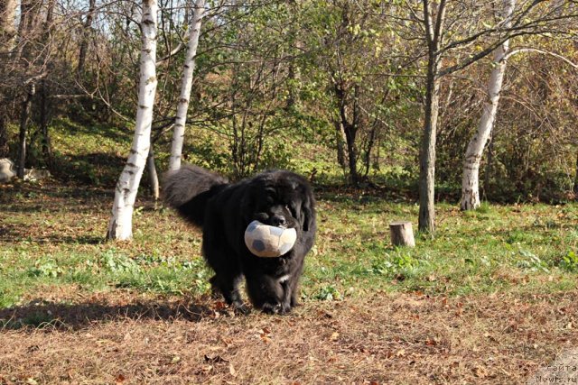 Фотография № 111198