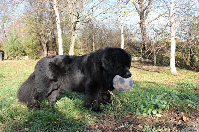 Фотография № 111200