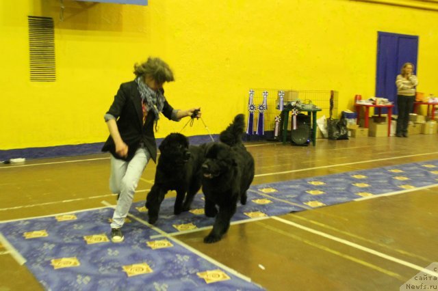 Фотография № 111210