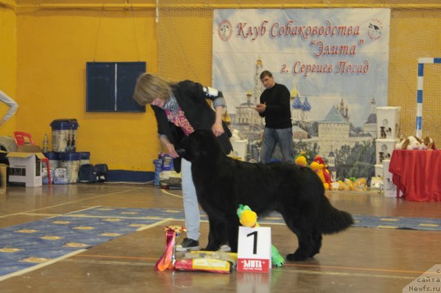 Фотография № 111222