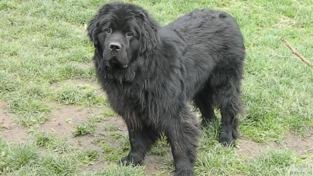 Фото: Кристина Юшина