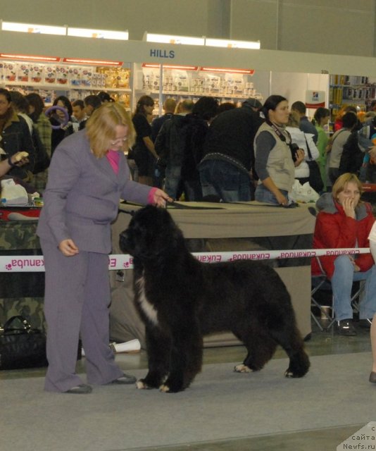 Фотография № 111295