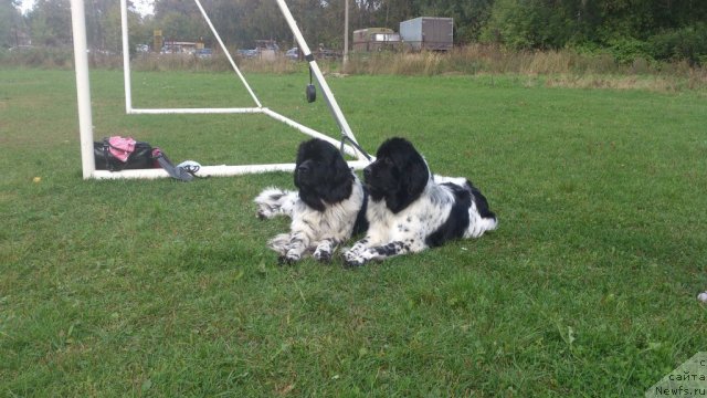 Фотография № 111299