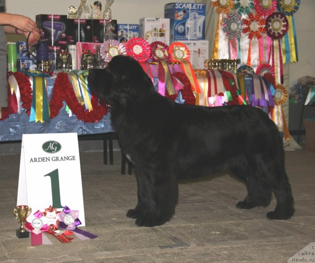 Фотография № 111319