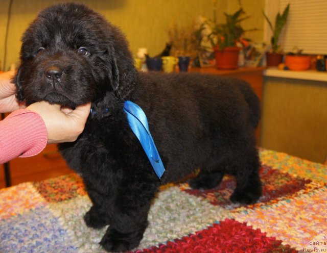 Фото: Наталья Смирнова